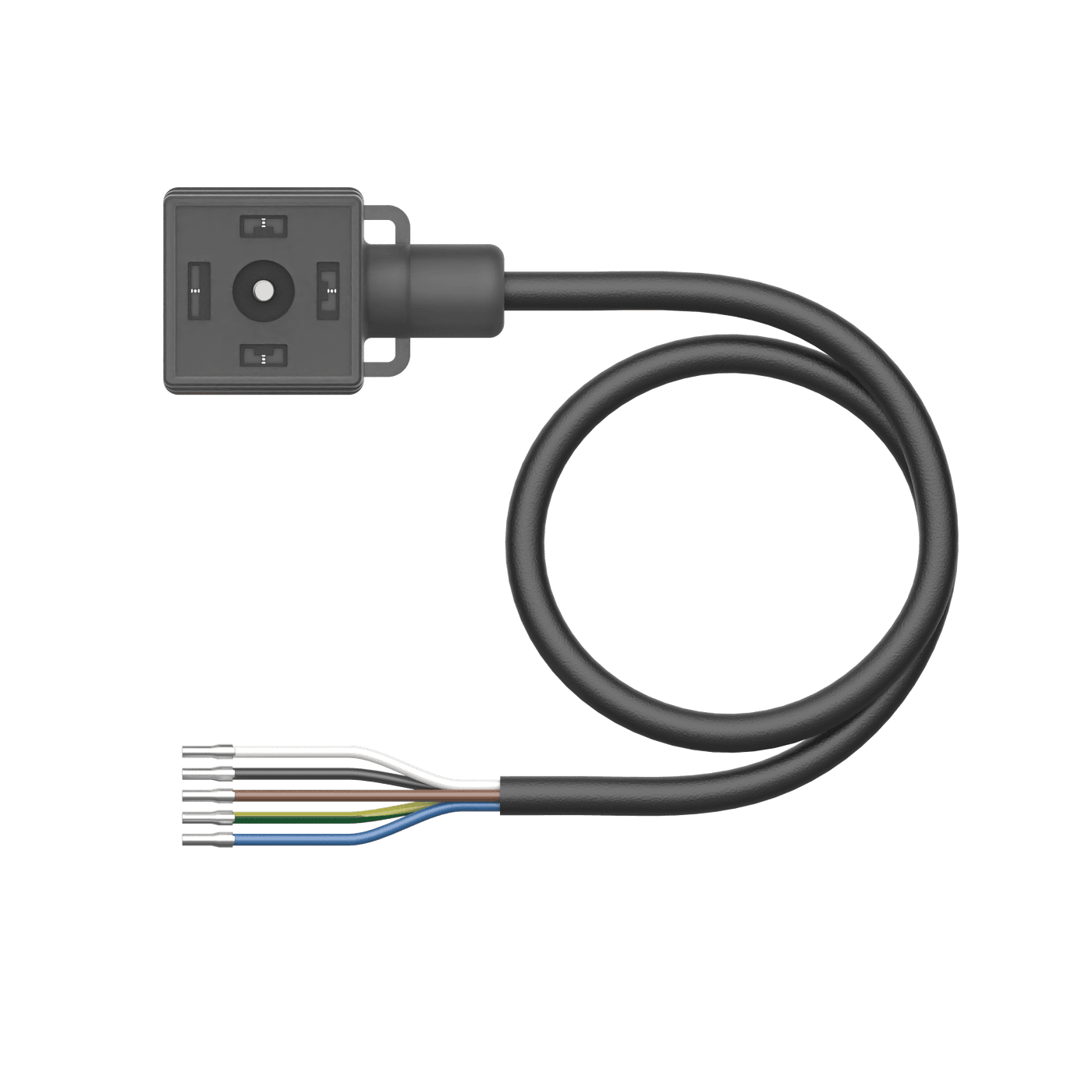 VAS04-K81E-2/TXL